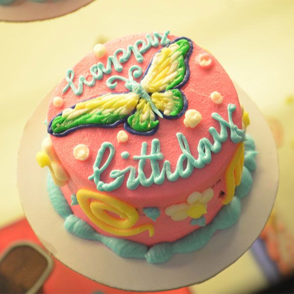 新品推荐蛋糕一